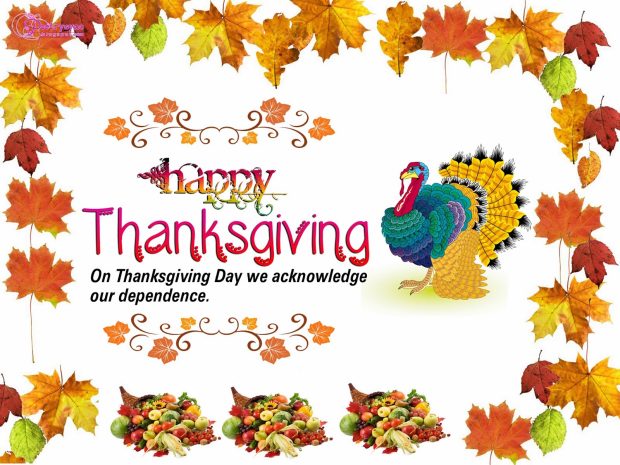Thanksgiving Day Free Animation Wallpapers Online Greeting Picture HD.