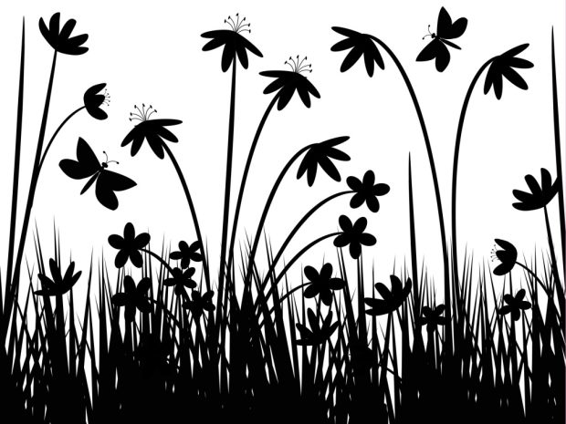 The Beautiful Black and White Flowers Backgrounds 2