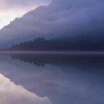 The best iPhone X wallpaper 4