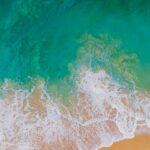 The new iPhone X wallpaper 3