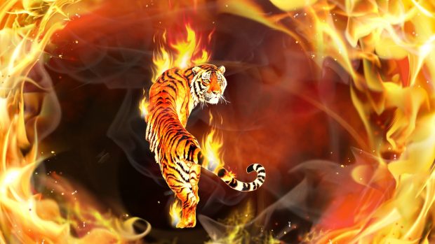 Tiger 3d picture top desktop free.