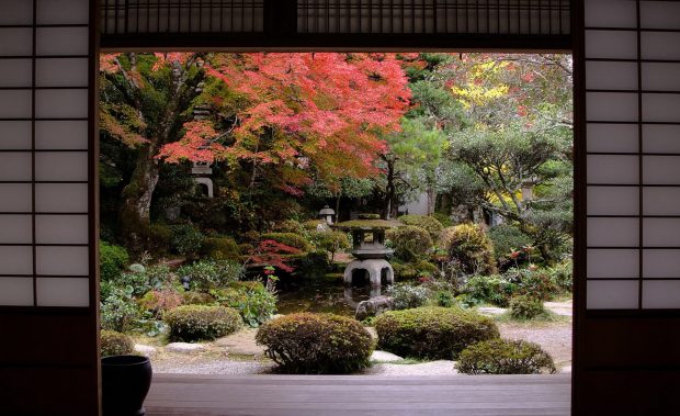 Traditional japanese garden wallpaper 1920x1200.