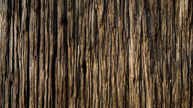 Tree bark texture widescreen wallpaper.