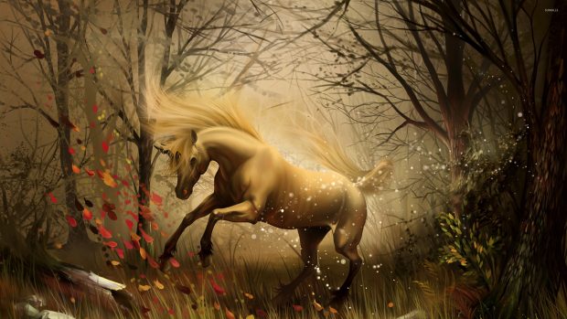 Unicorn in the enchanted forest photos 2560x1440.