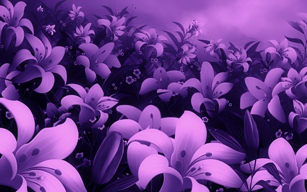 Violet flowers wallpapers.