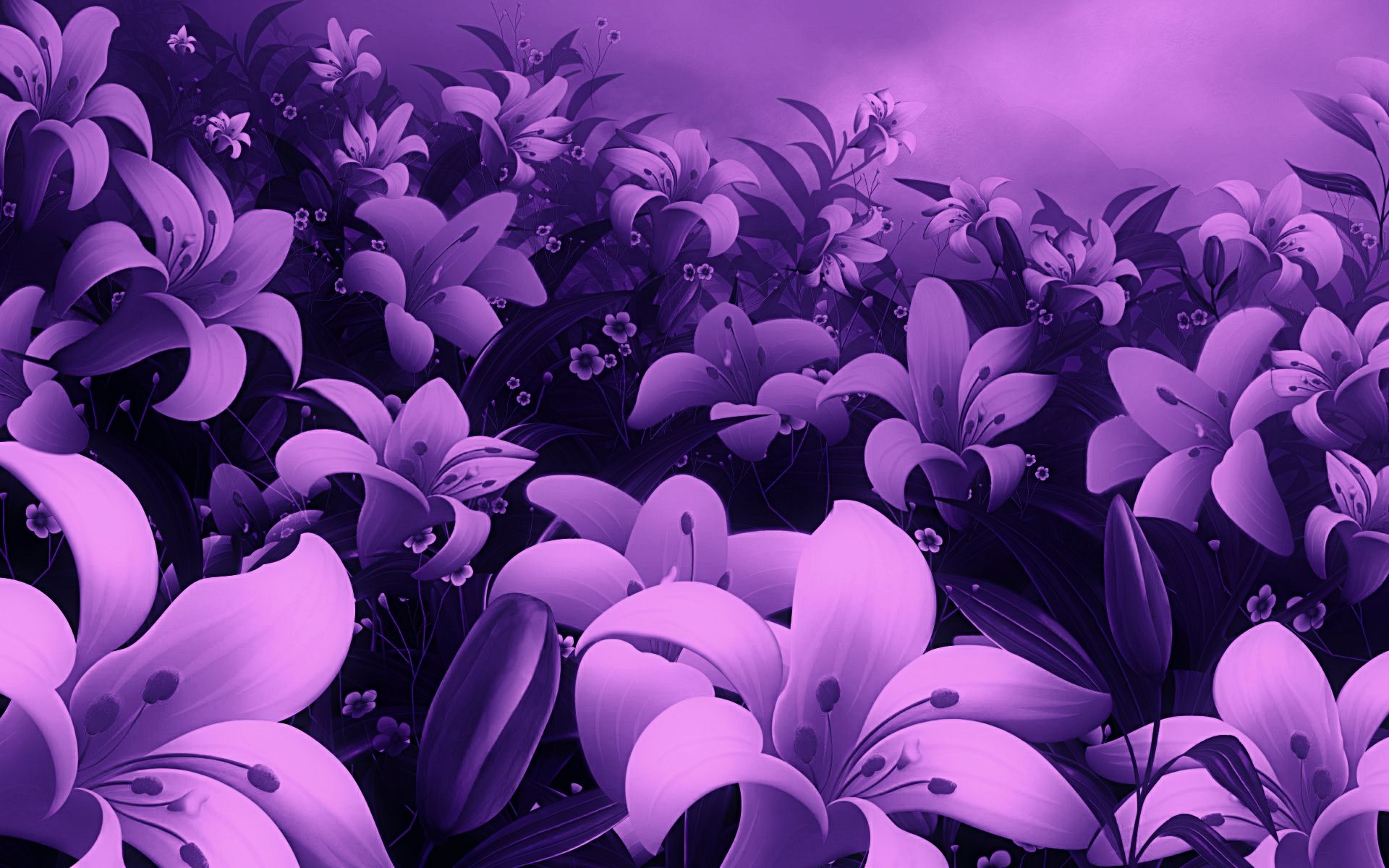 Free Violet Wallpapers HD
