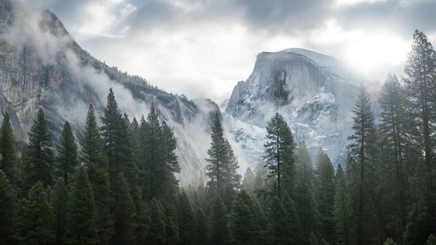 Wallpaper 8k forest osx apple mountains.