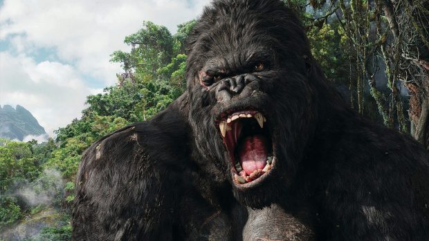 Wallpapers 1920 1080 king kong download free.