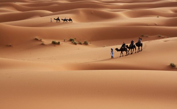 Wallpapers sahara desert.