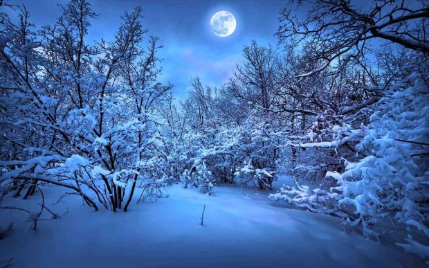 White night snow Snowflakes Christmas live wallpaper.