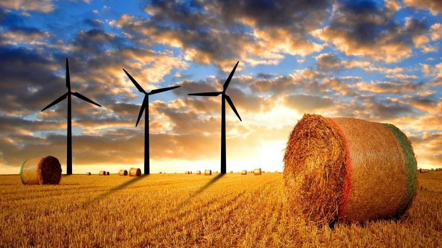 Windmill farm wallpaper hd.