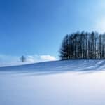 Winter Iphone Background Free Download