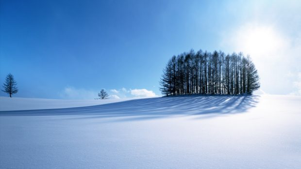 Winter Iphone Background Free Download