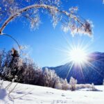 Winter Iphone Background HD
