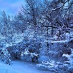 Winter Night Image for Iphone PIC