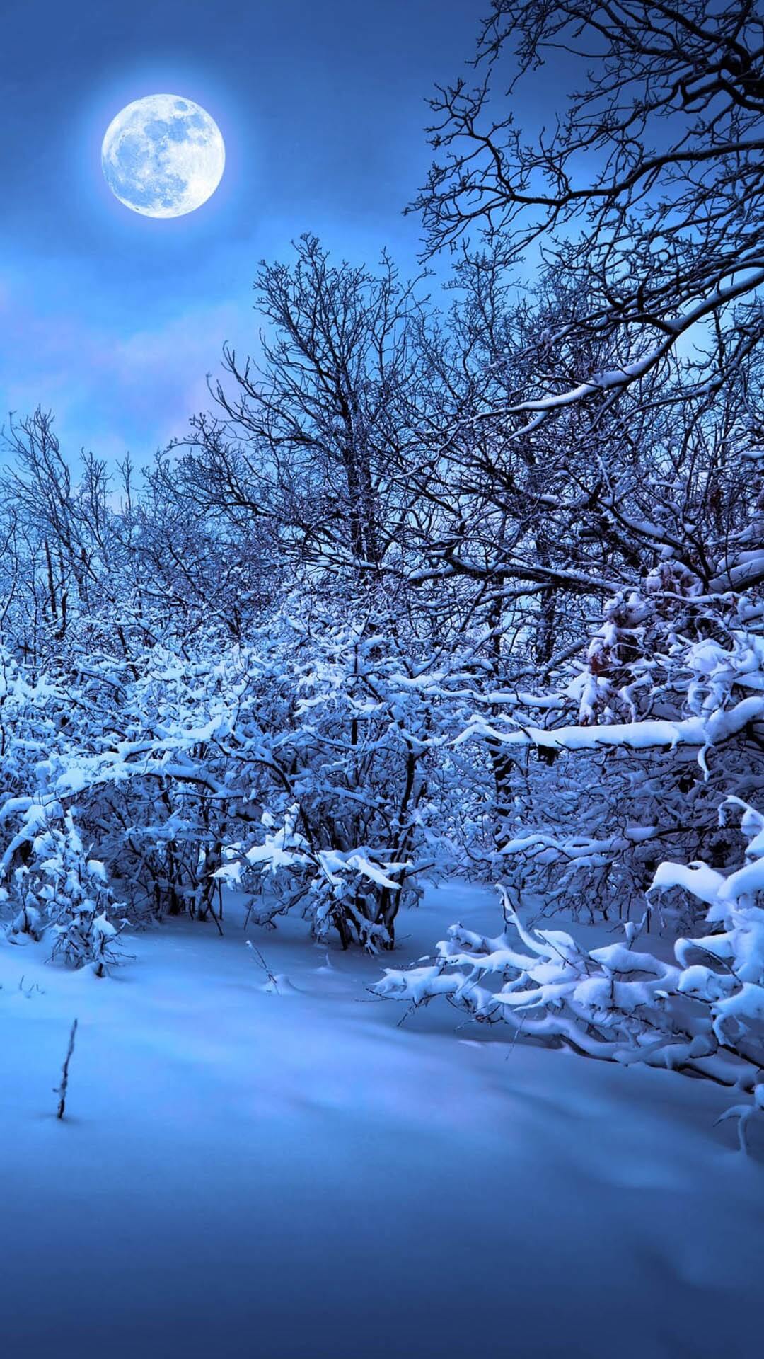 Winter Backgrounds For Iphone Hd Pixelstalk Net