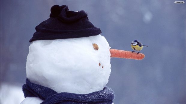 Winter Snowman Background for desktop 1