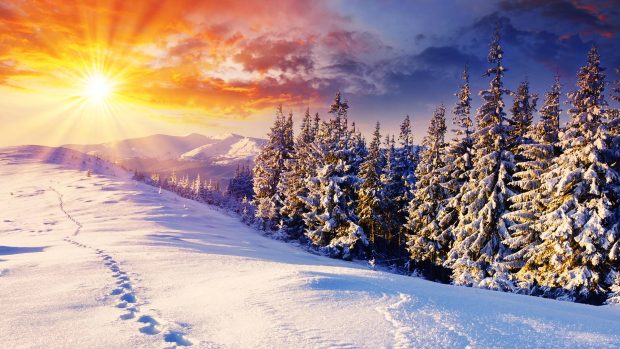Winter Sun Image.