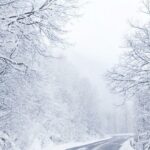 Winter Wallpaper for Iphone PIC