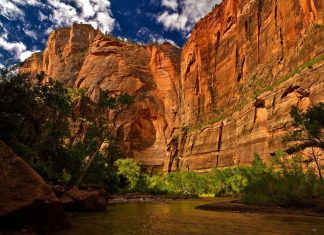 Zion National Park Utah USA wallpaper 1080x1920.