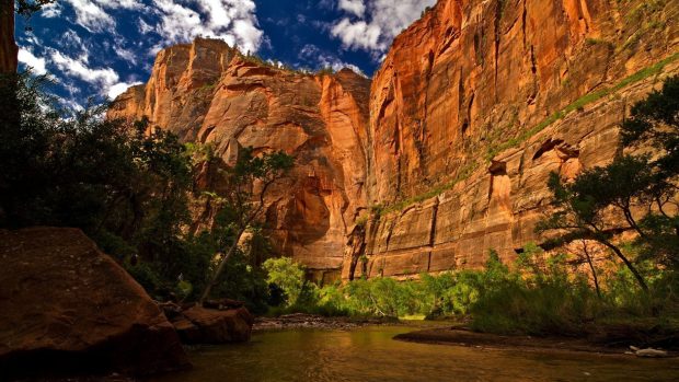 Zion National Park Utah USA wallpaper 1080x1920.