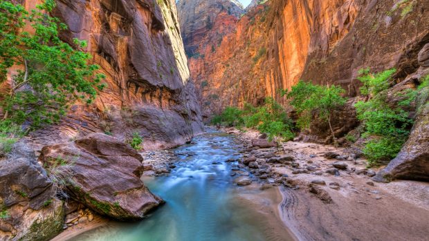 Zion National Park Wallpaper HD.