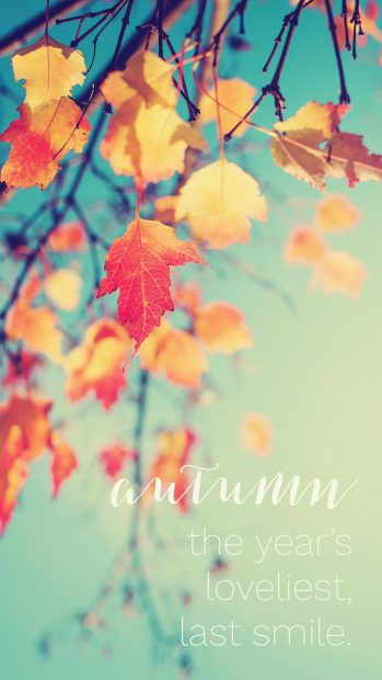 autumn wallpaper November.