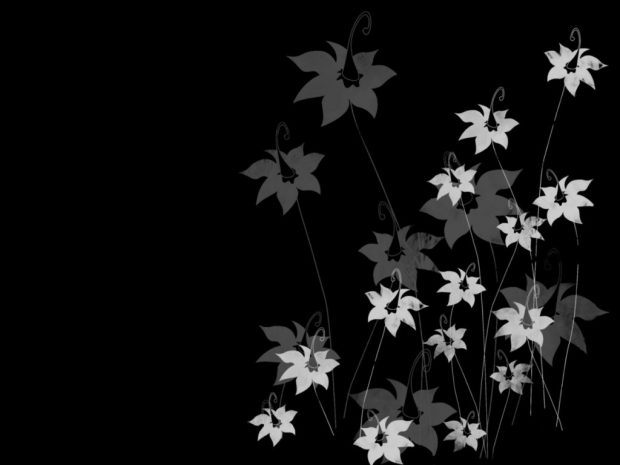 black and white flowers widescreen wall