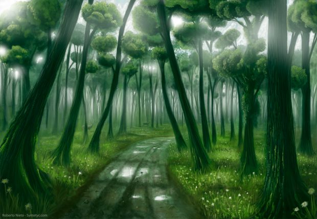 Deep forest by syntetyc.