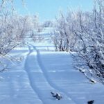 iPhone Winter Snow Background