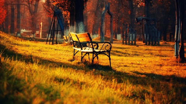 Park Trees Sunset Sunrise Bench Wallpaper Hd 1080p Nature Green.