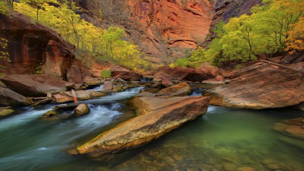 zion national park narrows wallpaper 1.