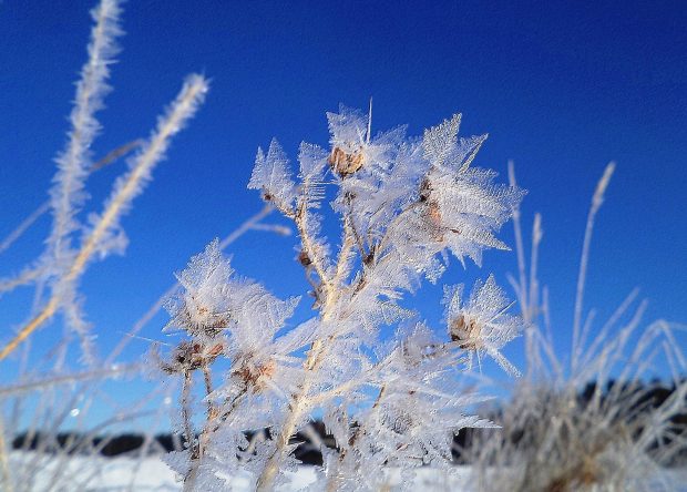 Abstract Winter Desktop Wallpaper.