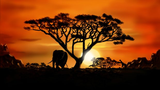African Animals Wallpaper Desktop.
