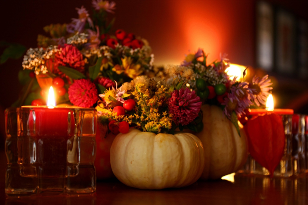 Autumn Glow Gourds Thanksgiving Wallpaper.