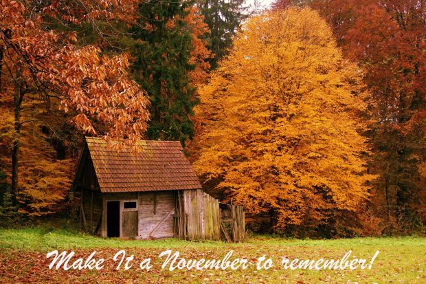 Awesome November Image.