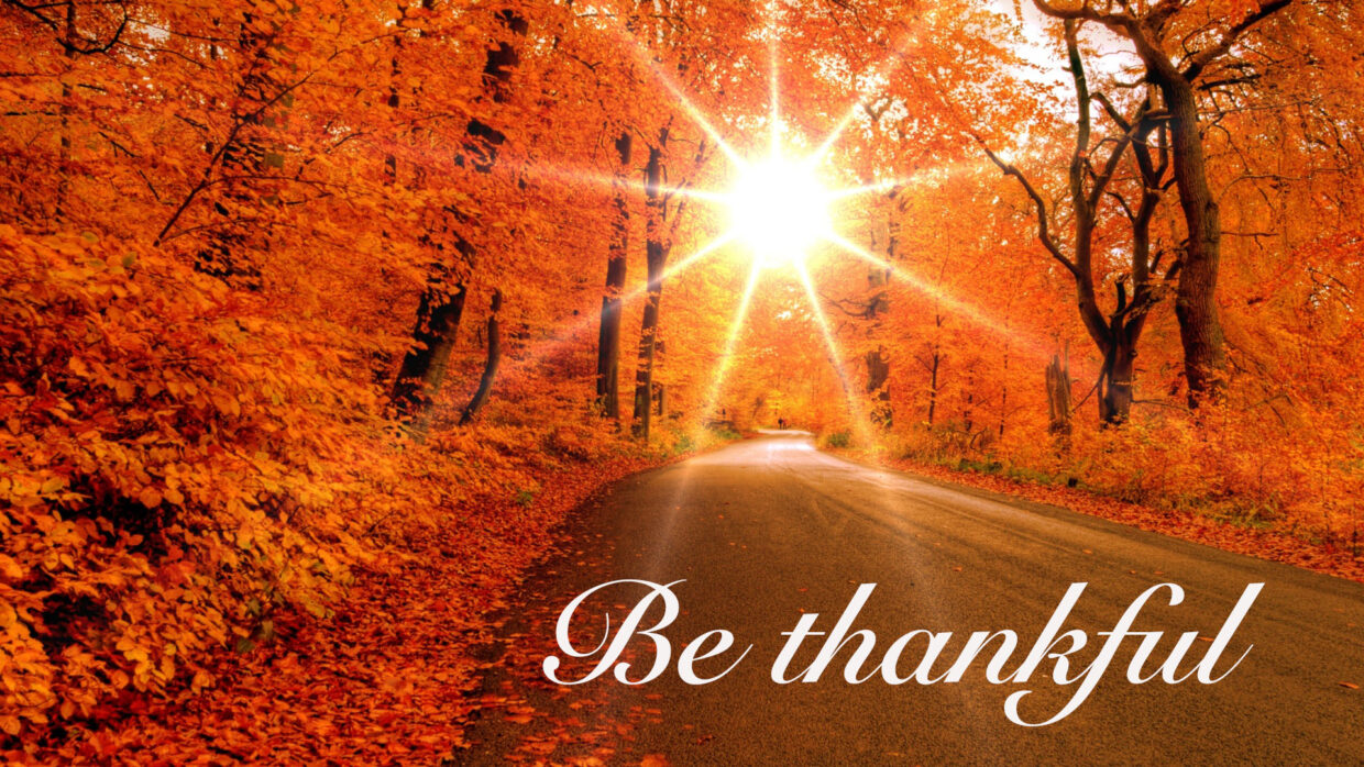 November Images will Surprise You - PixelsTalk