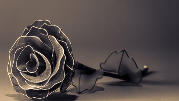 Beautifl Black 3D Rose Images.
