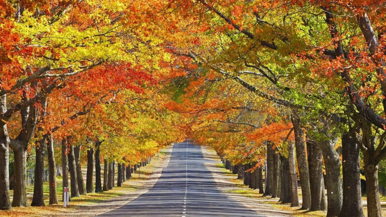 Beautiful Fall Pictures - PixelsTalk