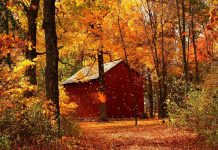 Beautiful October Wallpapers HD 3840x2160.