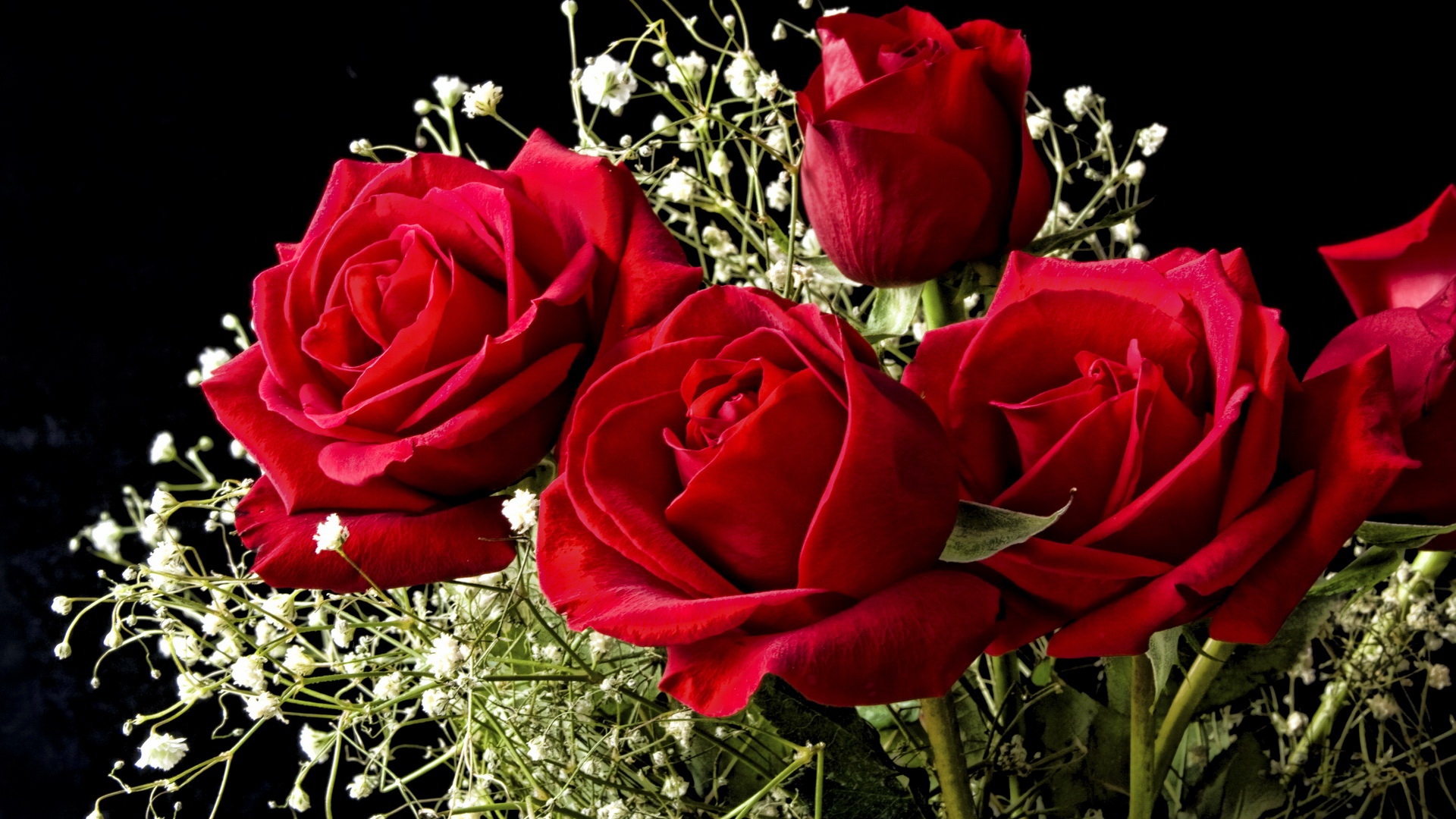 Download 1600x1200 Wallpaper Beautiful Rose Flower Standard 43  Fullscreen 1600x1200 Hd Image Background 3807