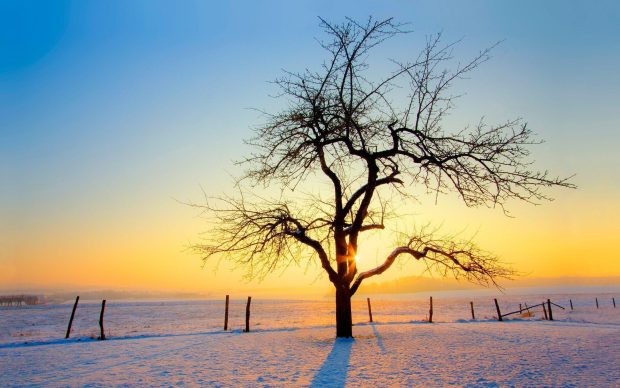 Beautiful Winter Wallpaper HD.