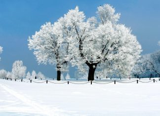 Beautiful Winter Wallpaper HD.
