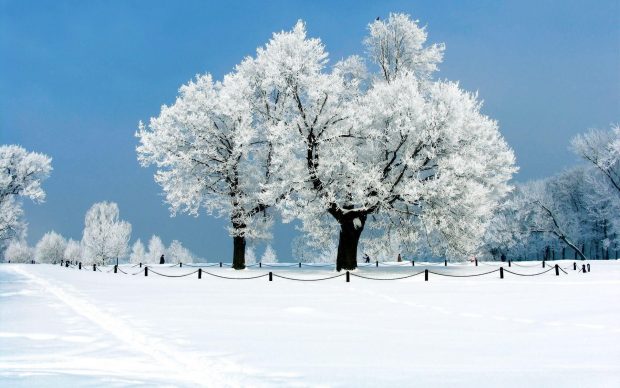 Beautiful Winter Wallpaper HD.