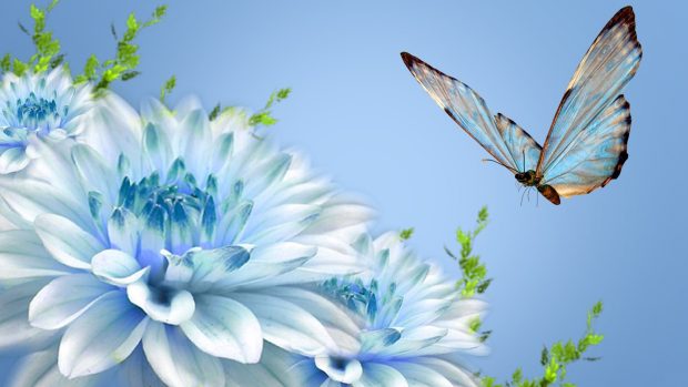 Blue Butterfly and Beautiful Flowers.