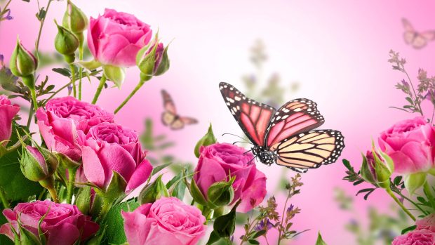 Butterfly With Flowers Wallpapers Al097b.