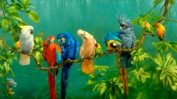 Colorful Parrot Birds On The Tree Nice Wallpapers.