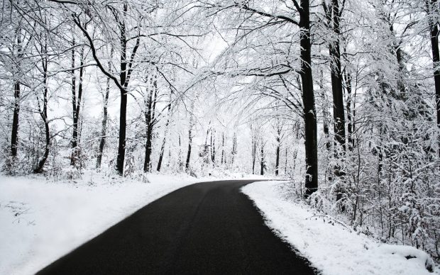 Cool Winter Road Wallpaper HD.