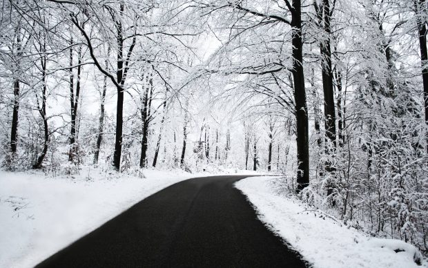 Cool Winter Road Wallpaper HD.