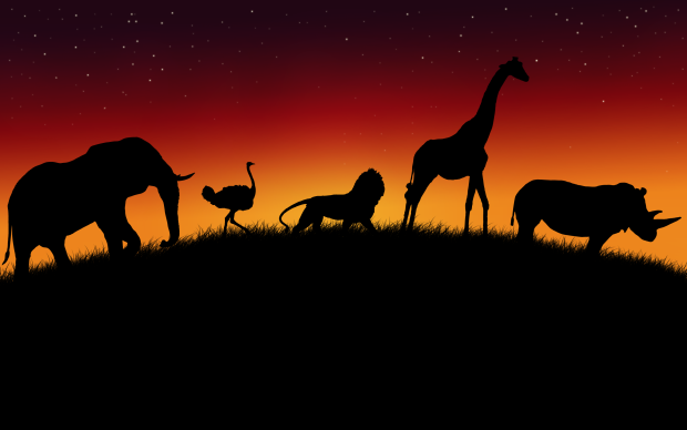 Download Free African Animals Wallpapers.